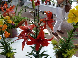 Foto: Dr. Peter Müller